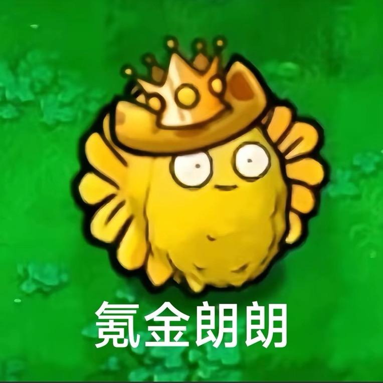 009900