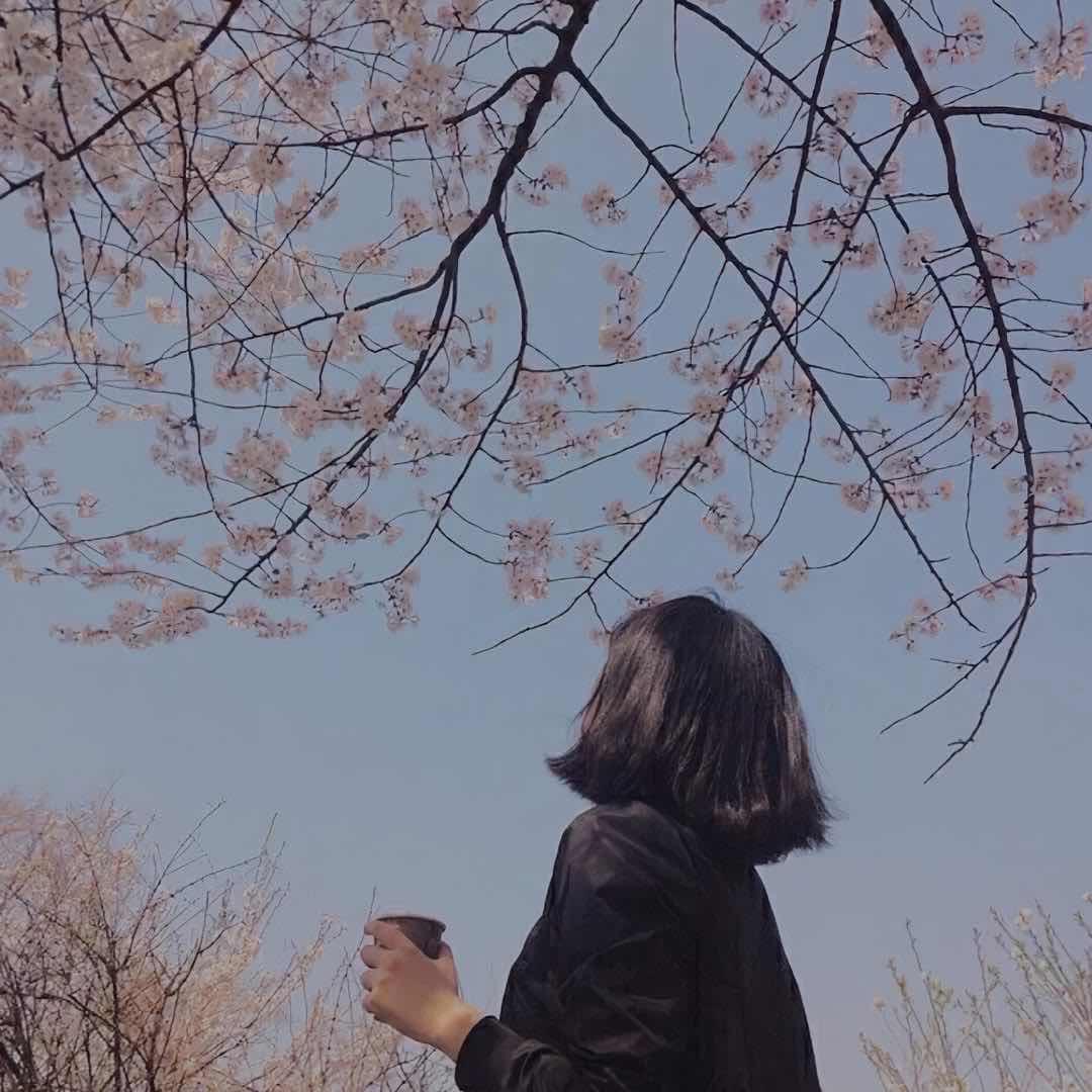 🥀迷惑桃