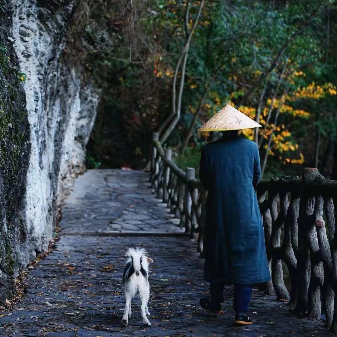 芹松文化