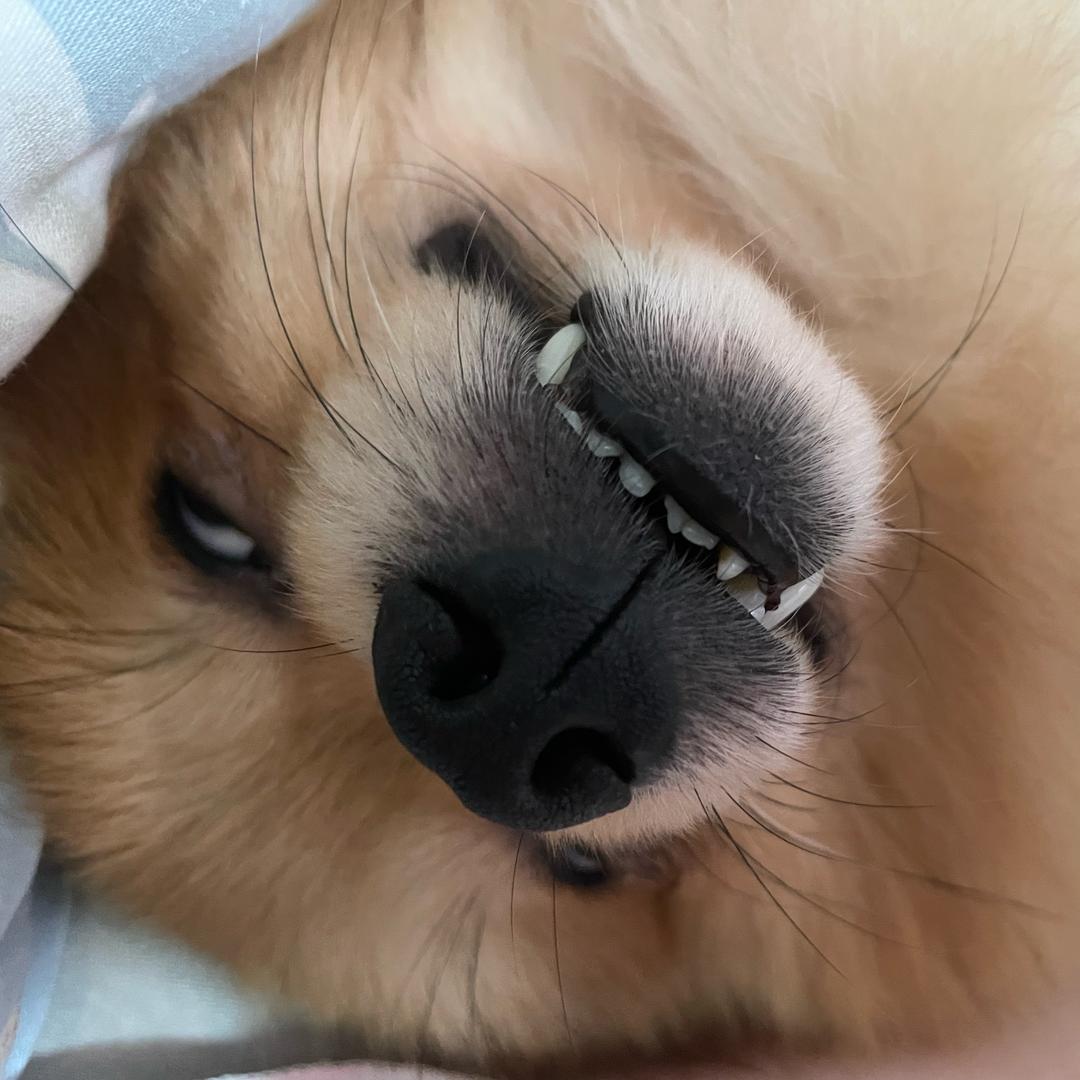 𝓃ℯ𝓋ℯ𝓇 ℴ𝓌𝓃ℯ𝒹