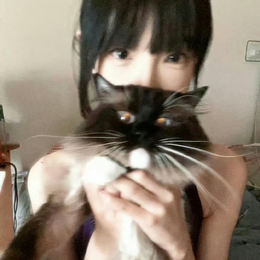 哈尼yyy