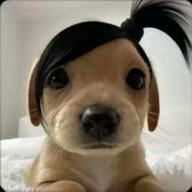 不吃香菜吃土豆（见过易烊千玺版）