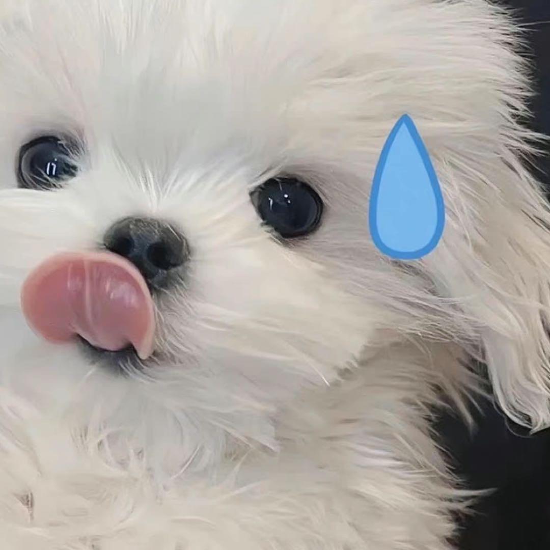 彤彤的春夏秋冬