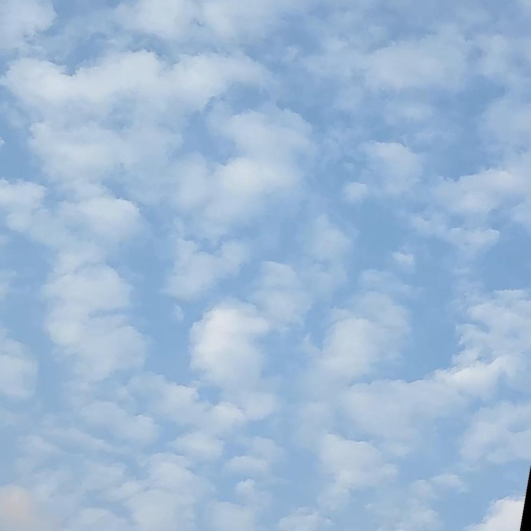 空白格