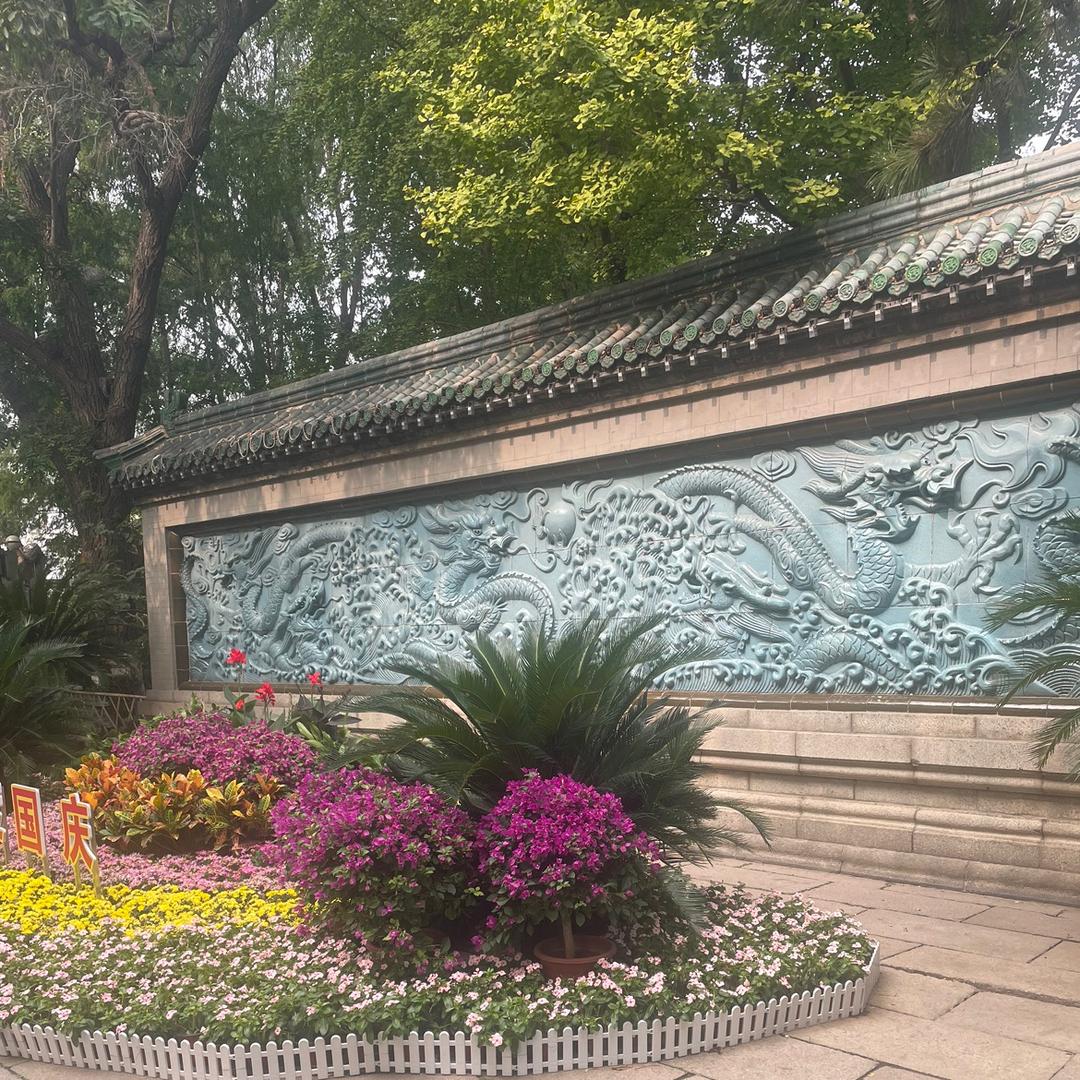 生活是什么