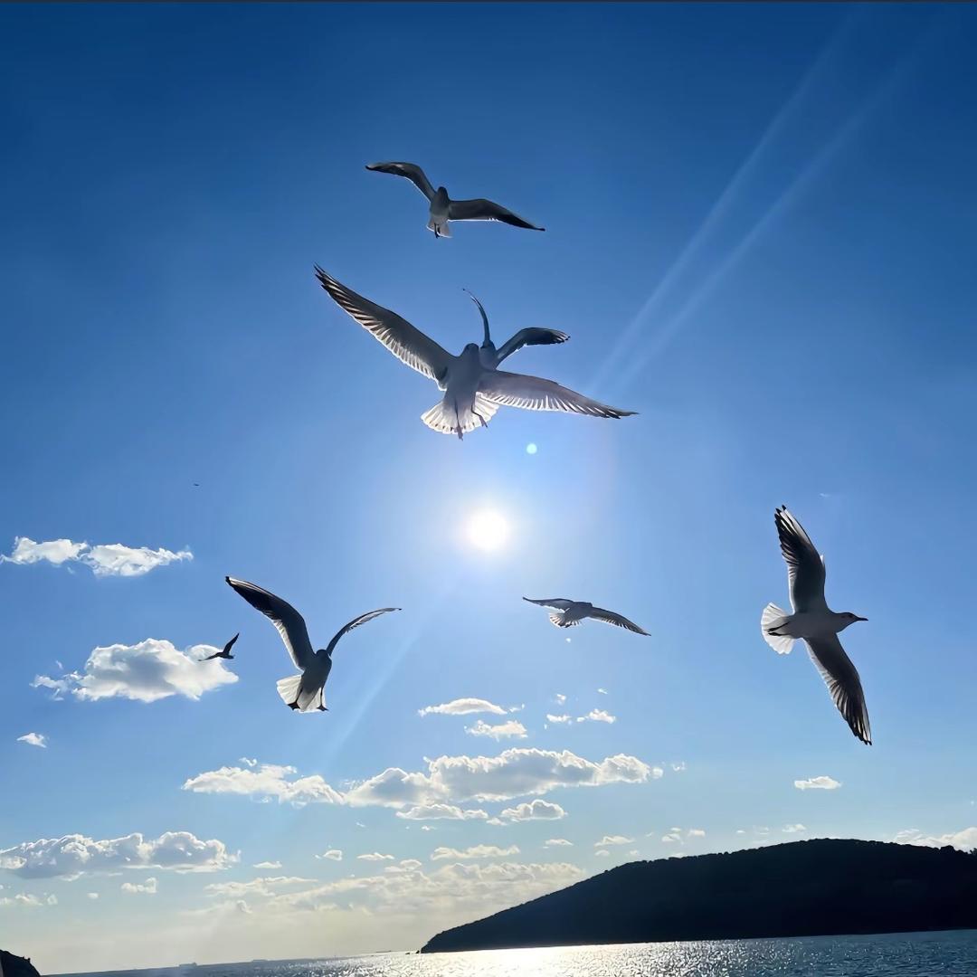 M🌊_