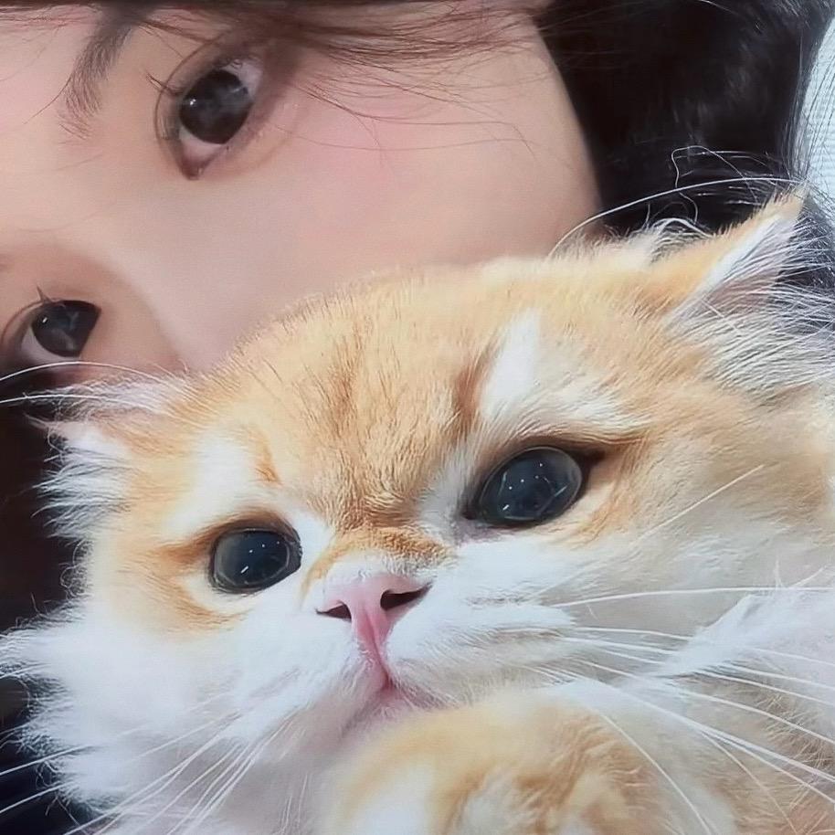 云青观的沈奕琛头像