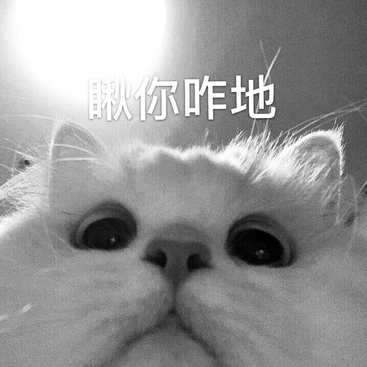 喝完奶茶就练车（停）