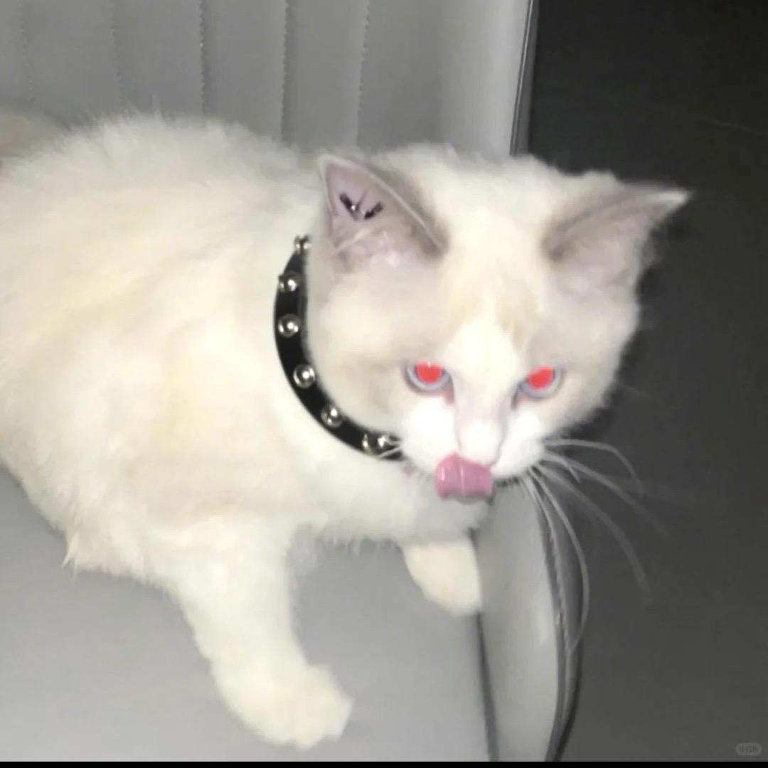 ㅤㅤㅤㅤㅤㅤㅤㅤㅤㅤㅤ