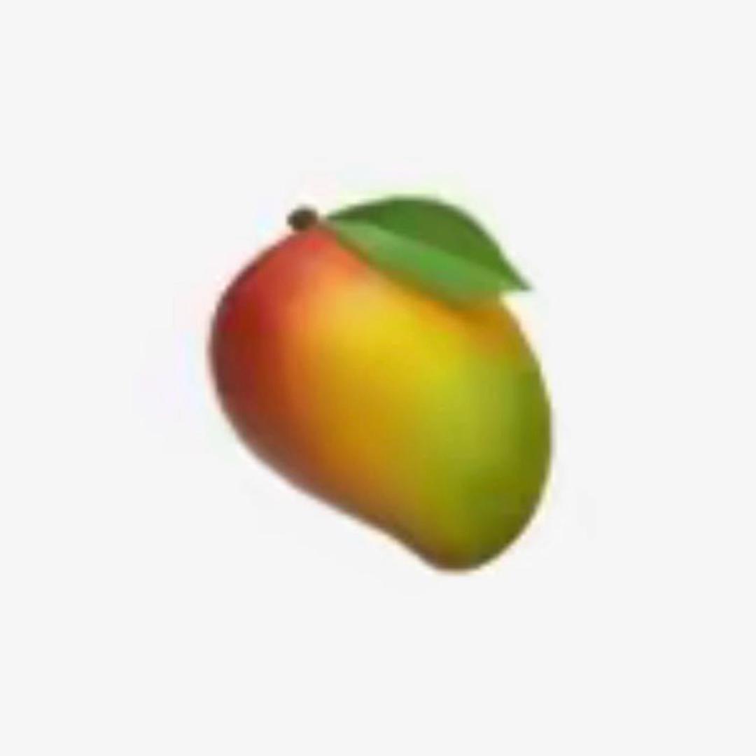 所有人给我跪下