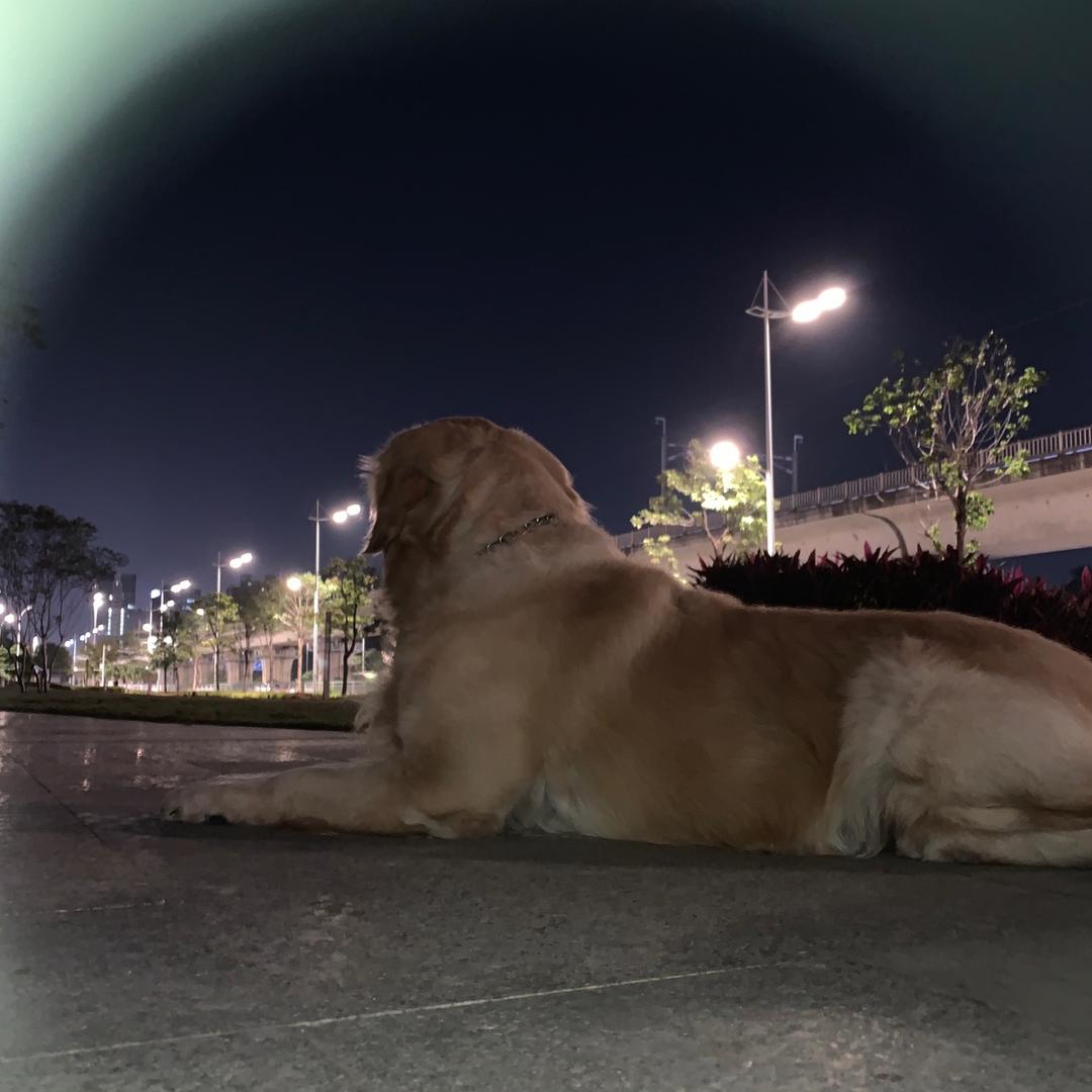 用户654193746603华哥