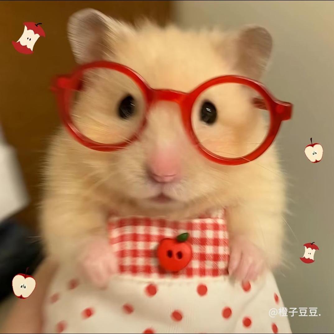 梁耗耗