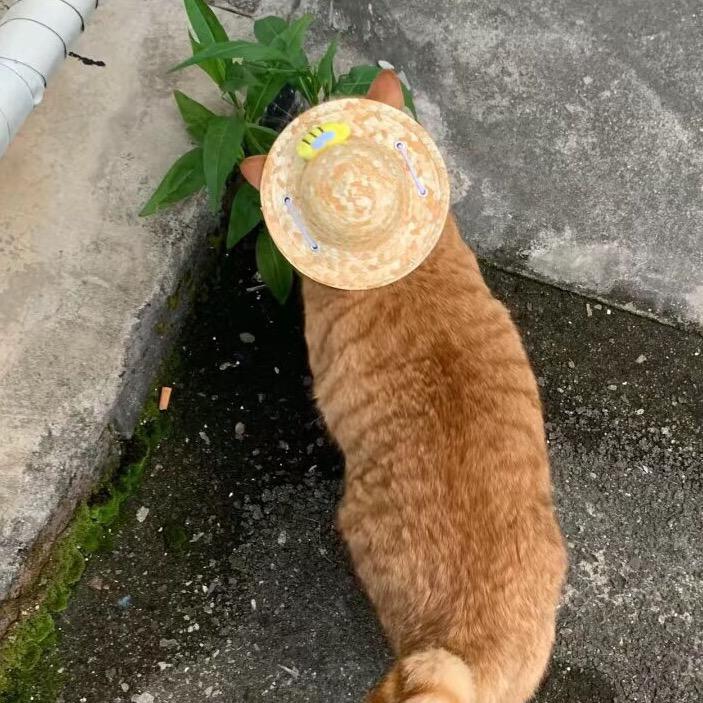 想想就泪