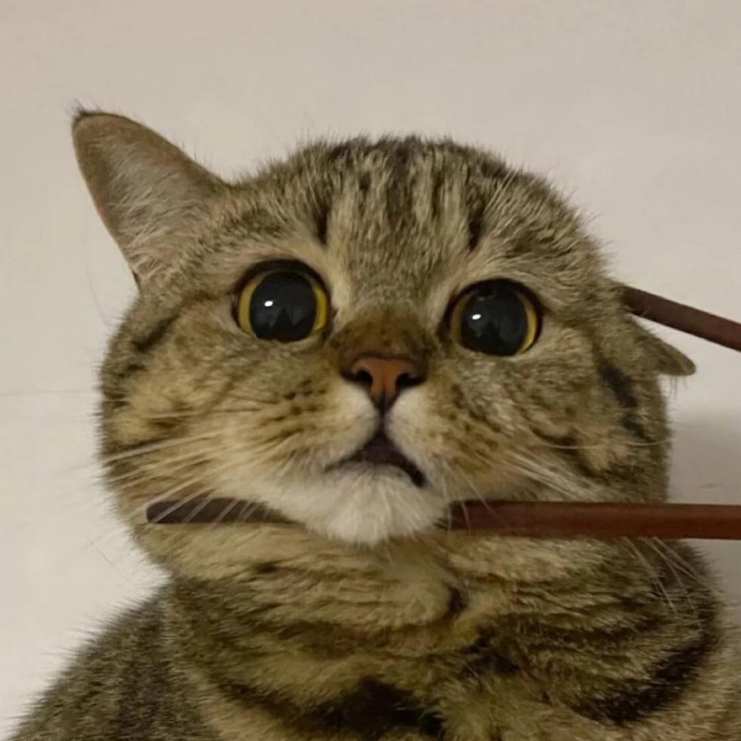 阿豪