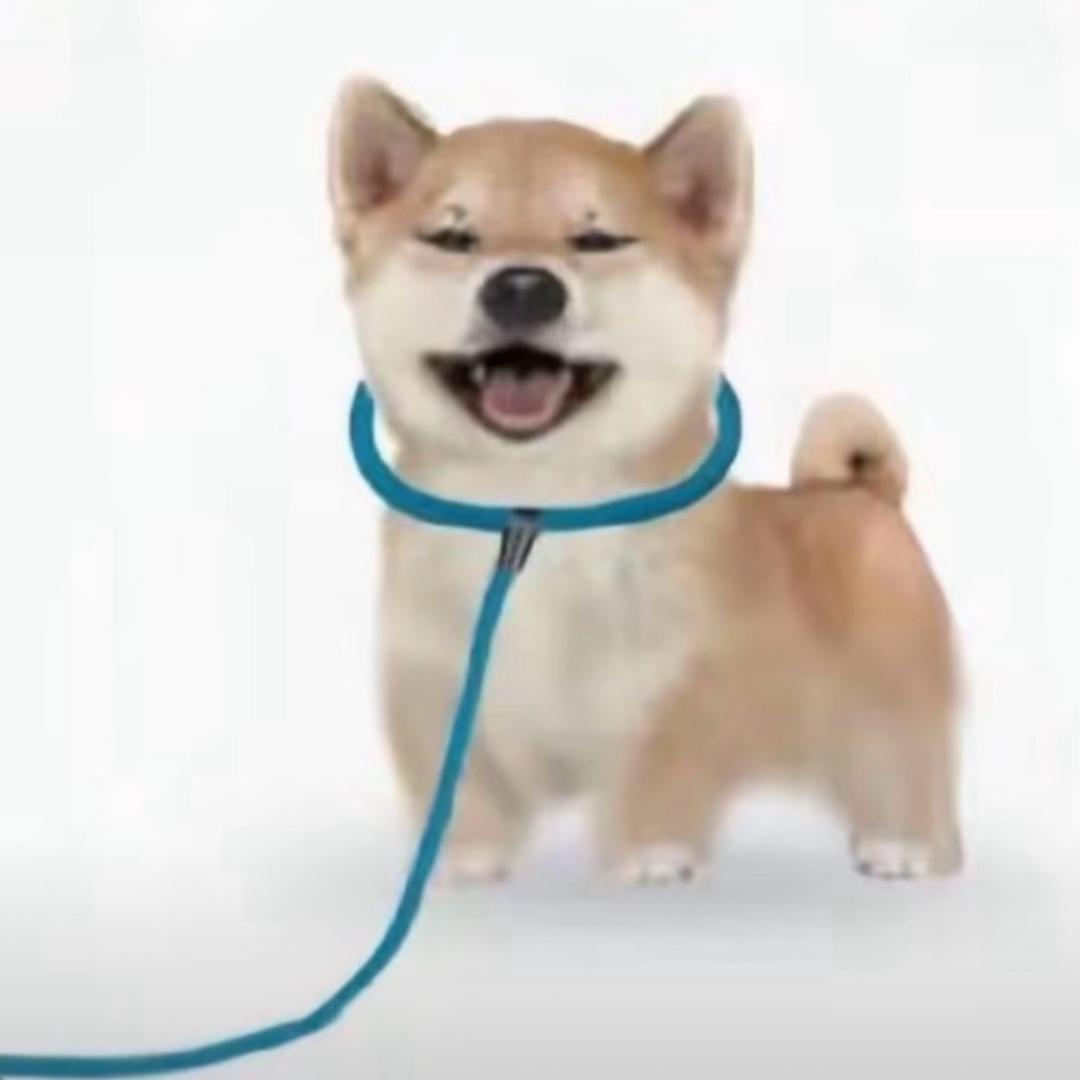 衰小孩