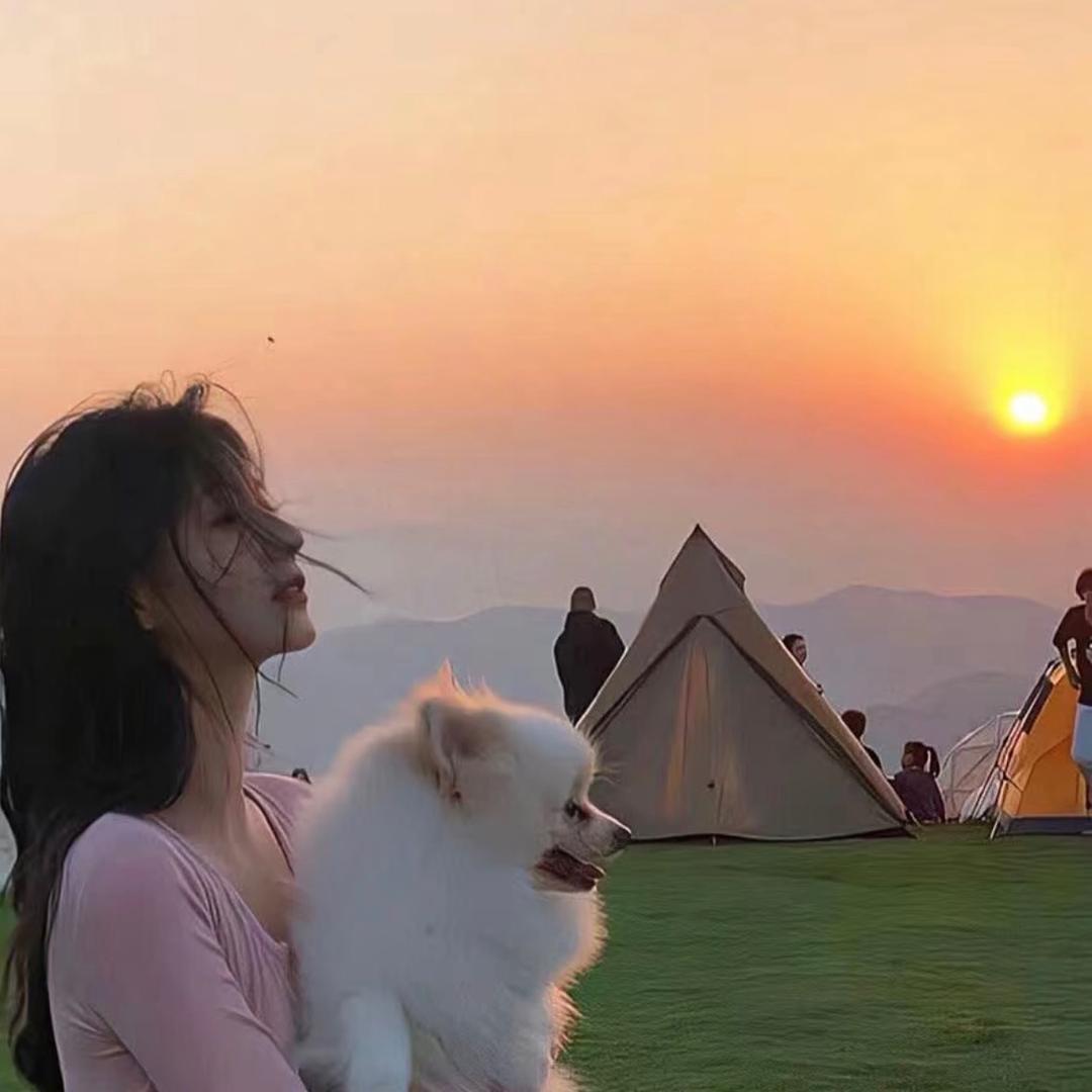 小新没了蜡笔🖍️