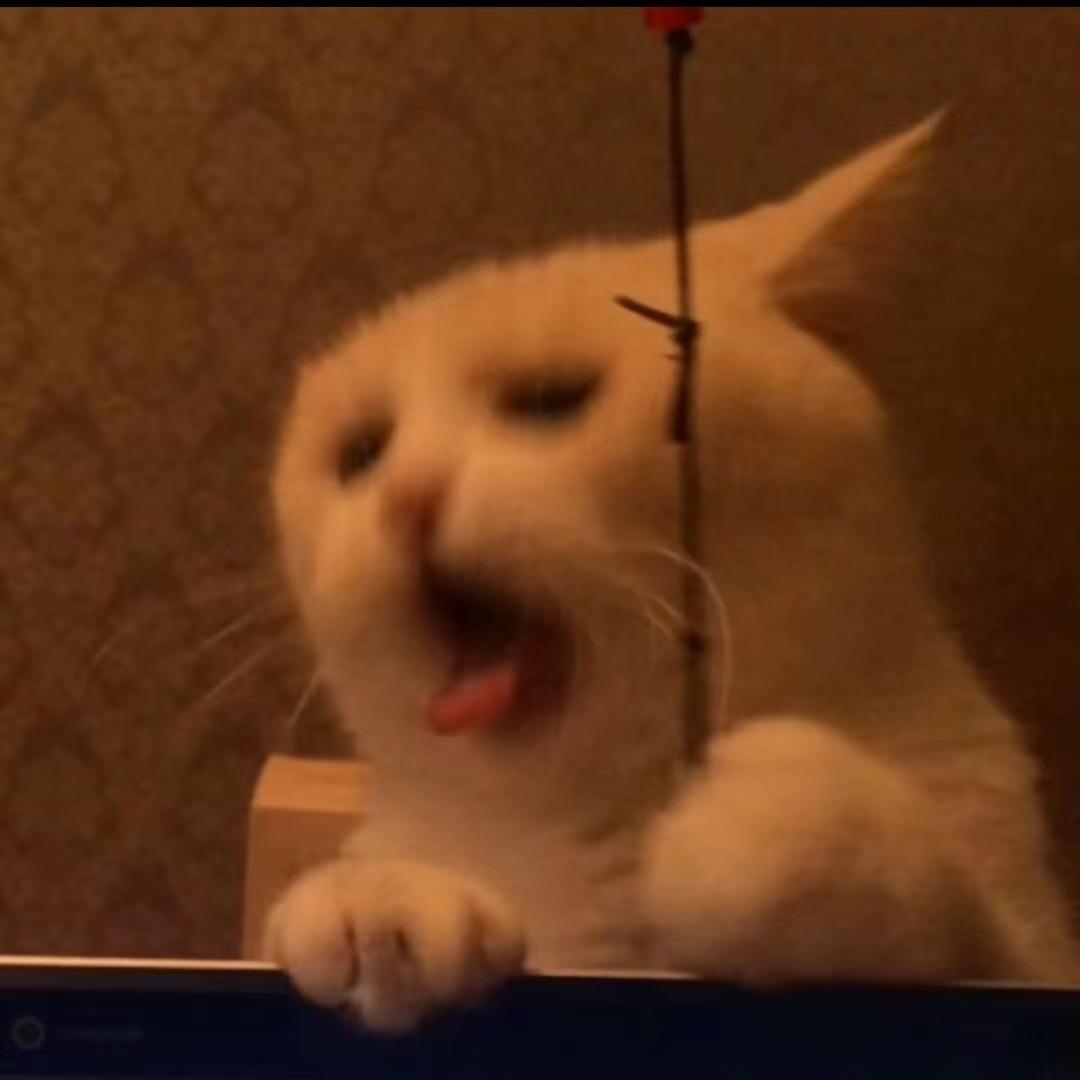 吃个鳕鱼堡
