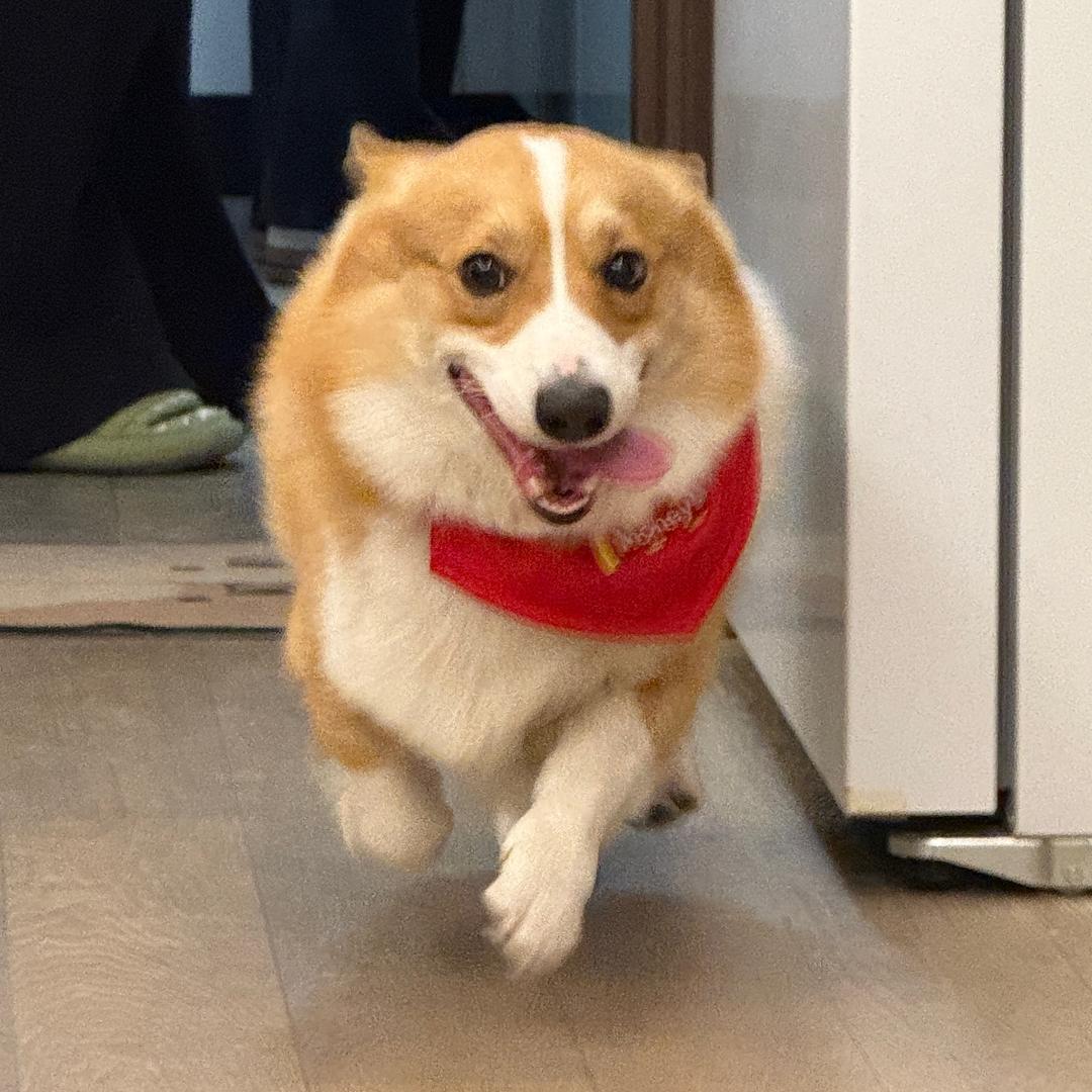 今晚必早睡（减肥版