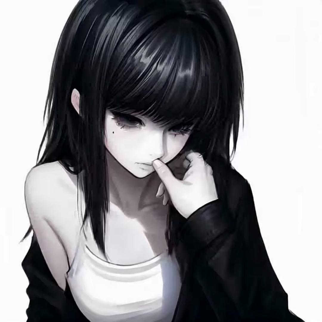 坏猫