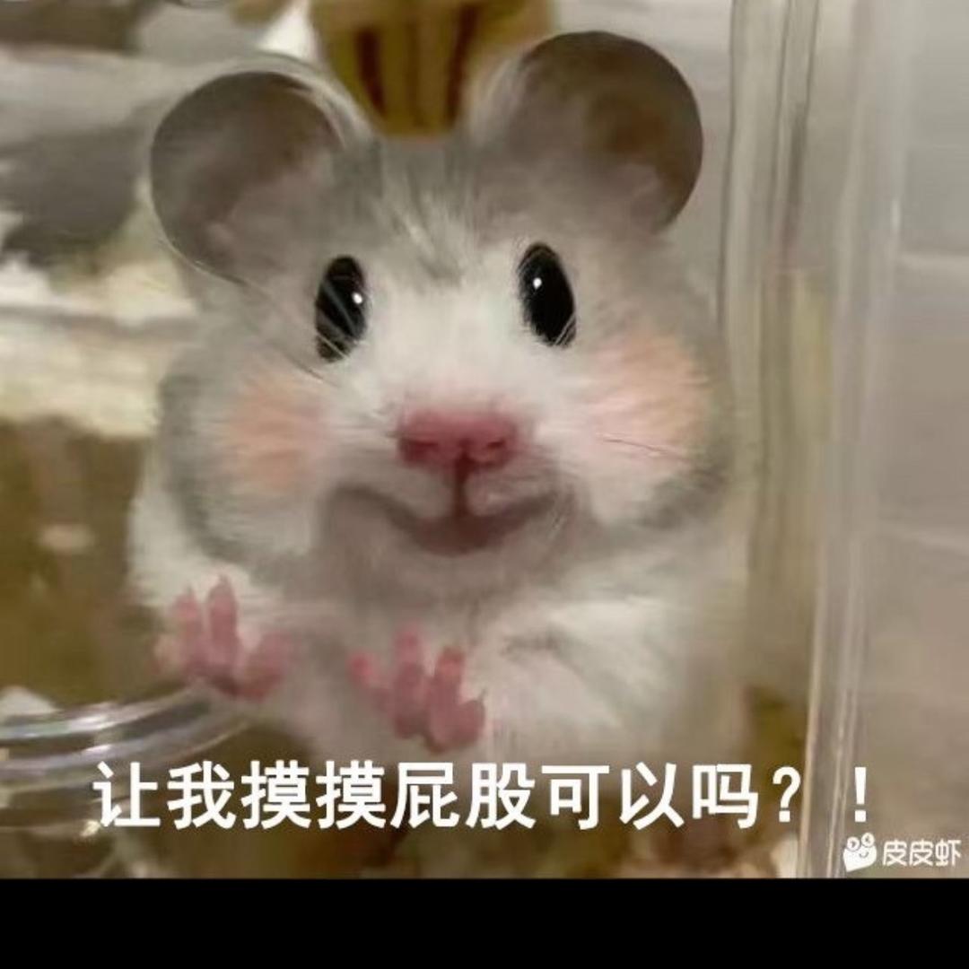 一只小松徐