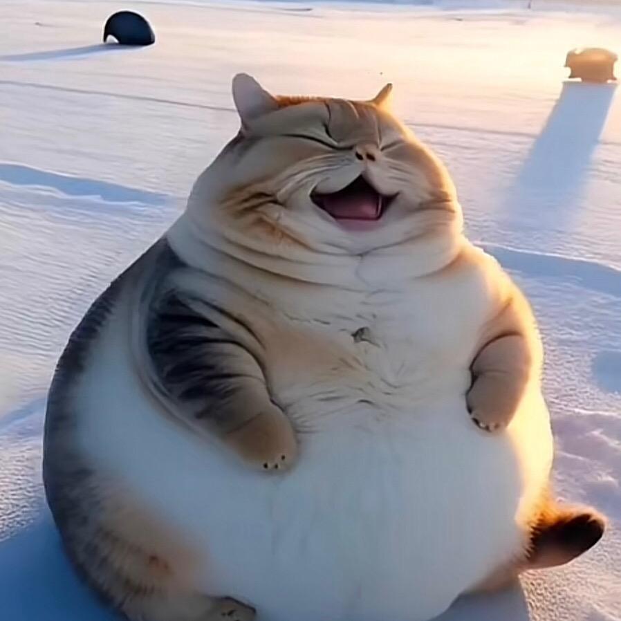 嗯？