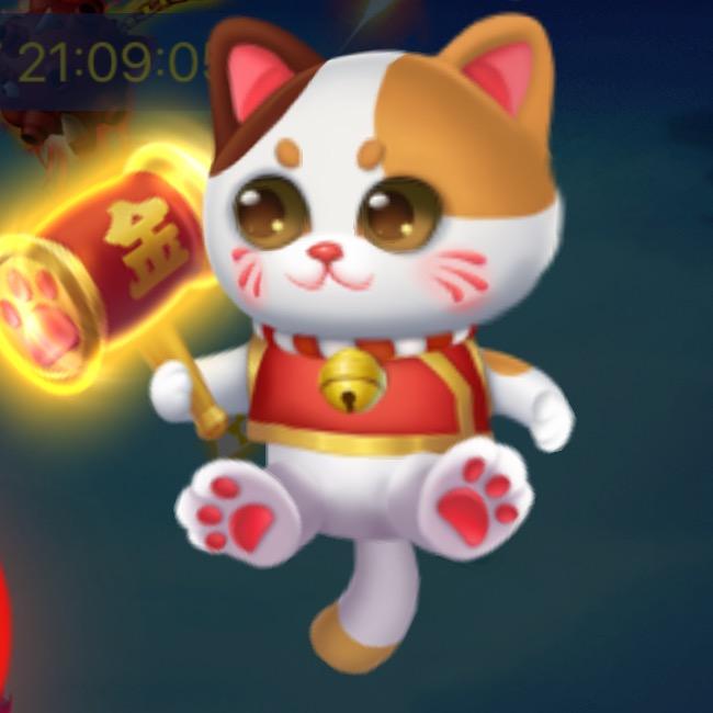 🇨🇳阿坤