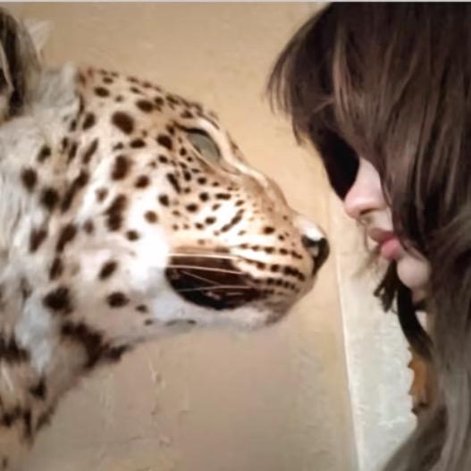 鸿晟烟酒商行广州市捷禧zmss直播号