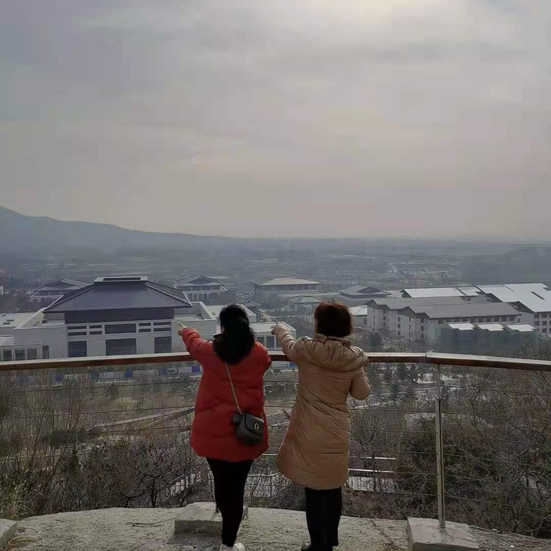 百合