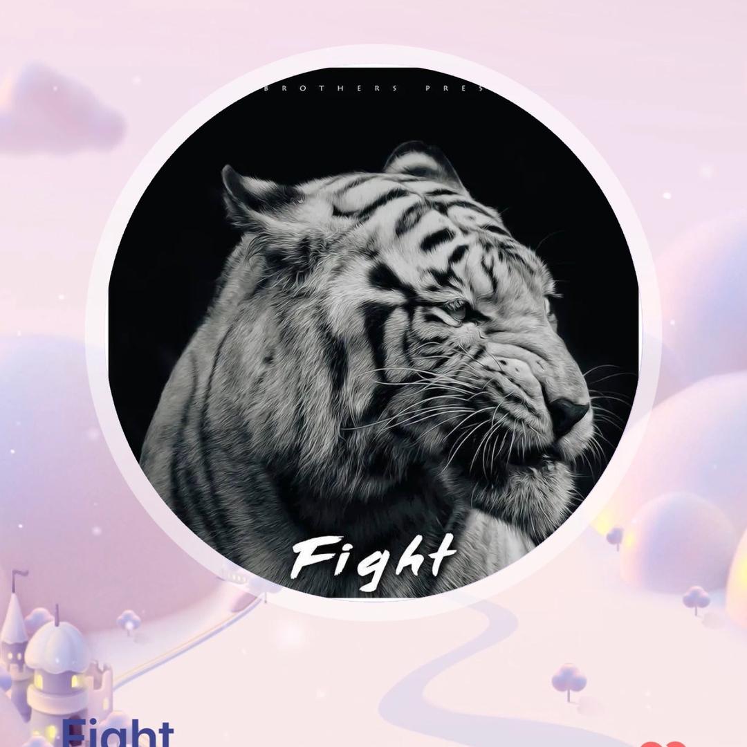 莱芜稻壳一次性餐具