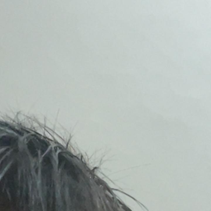 王者沃几沃