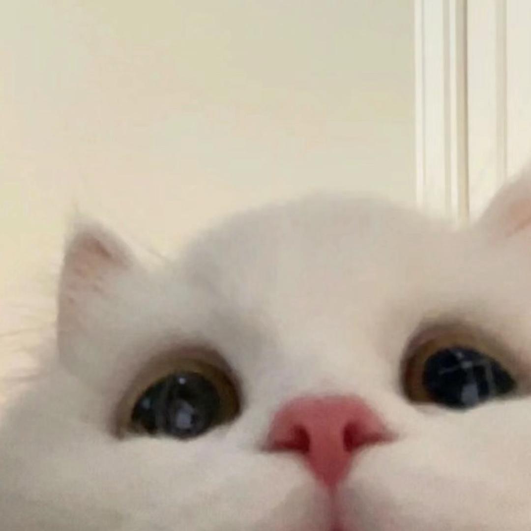 小何睡不饱