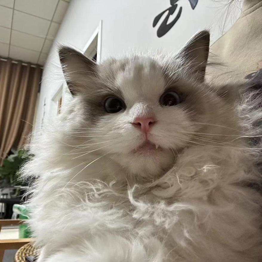 @。