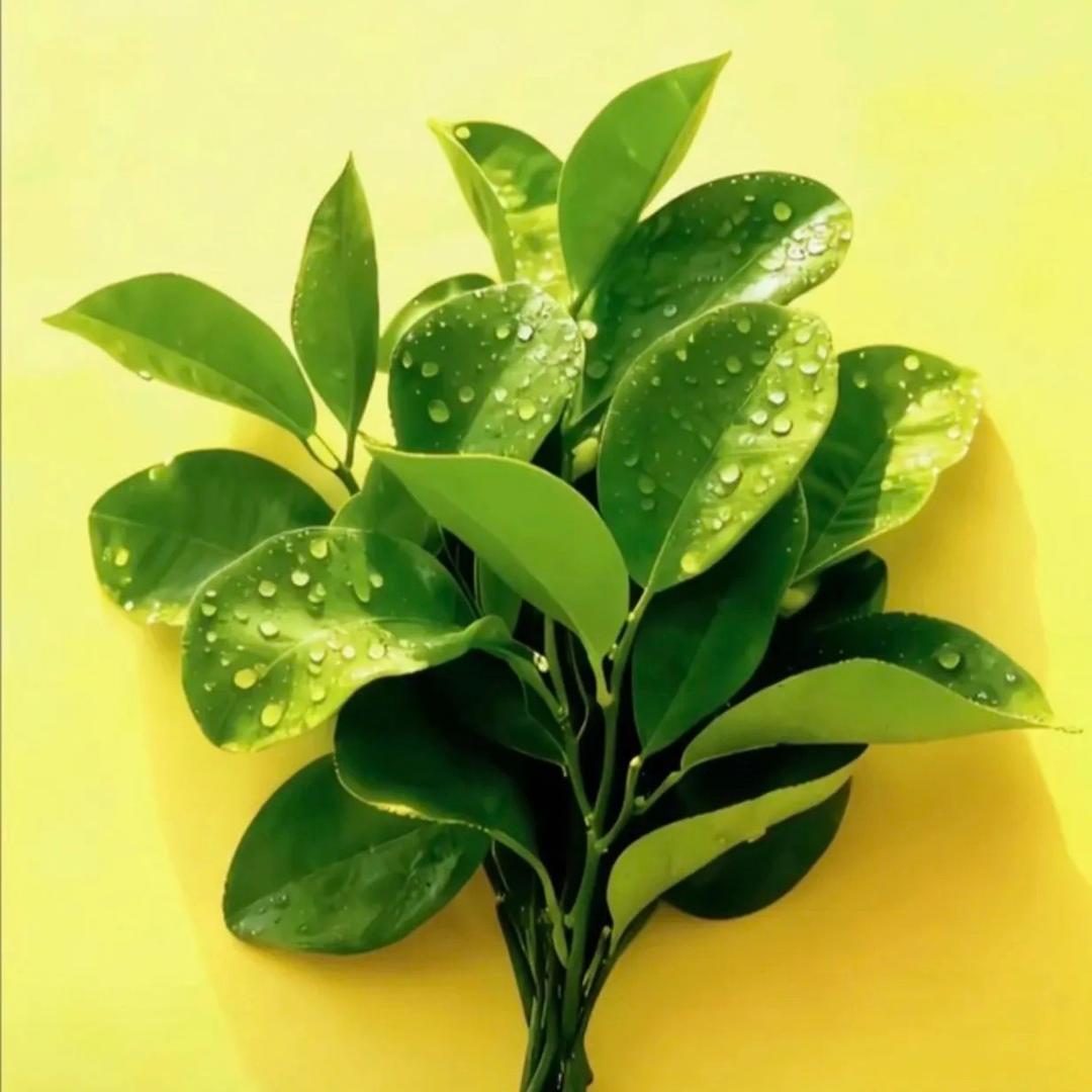 义涵🧘🏻‍♀️