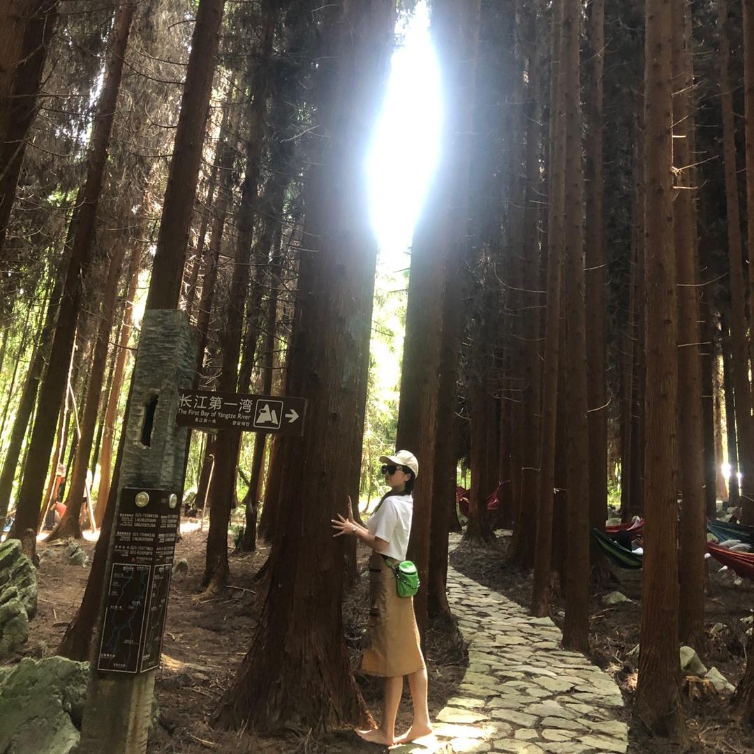 羊羊羊羊羊羊🐑