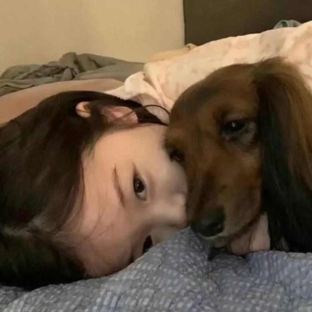 十一桐