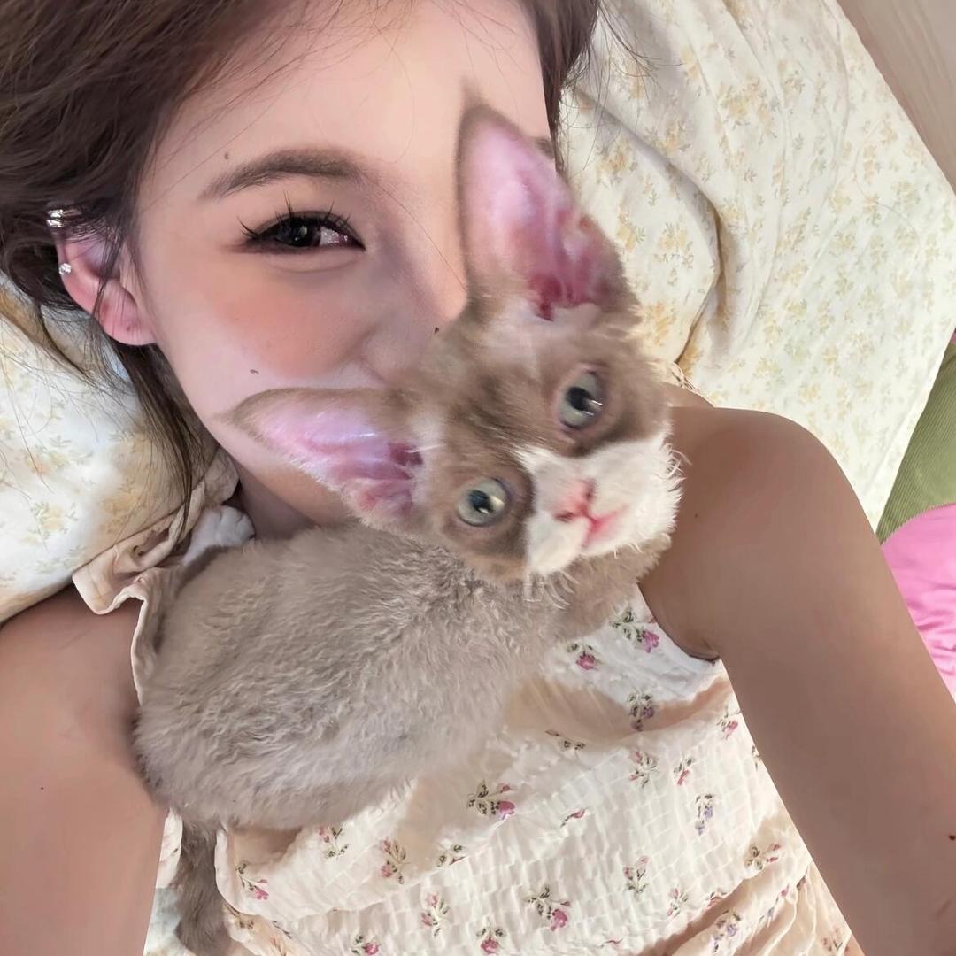 肥嘟嘟左卫门🐽