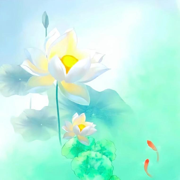 书香蔡宝