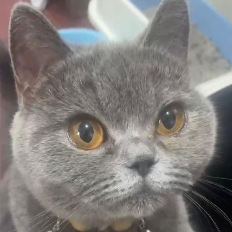 🌈🌈秋水🌈🌈