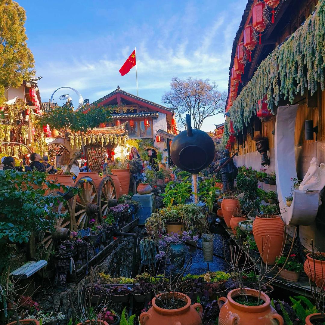 波波《生活版》