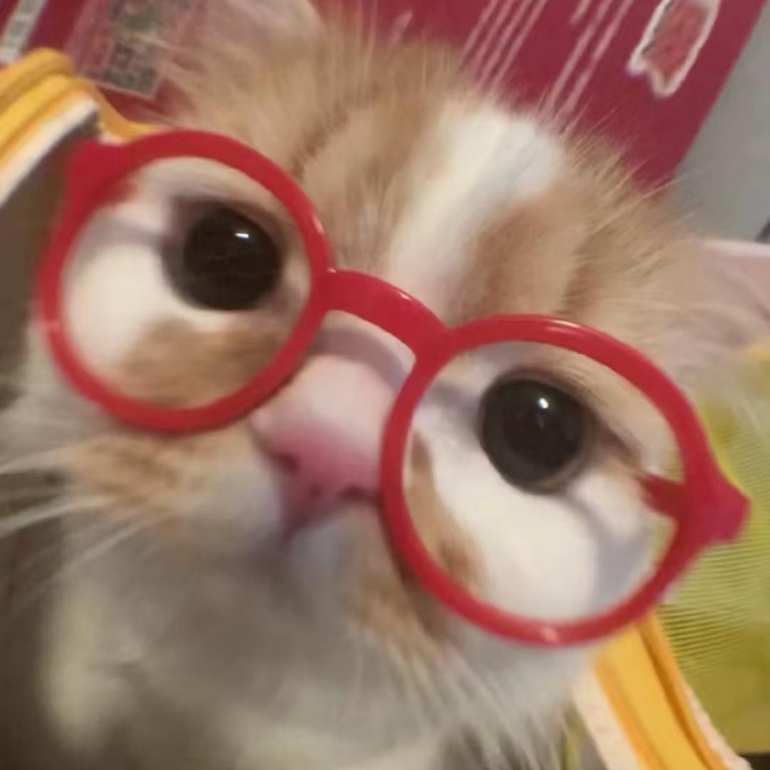 皮蛋粥