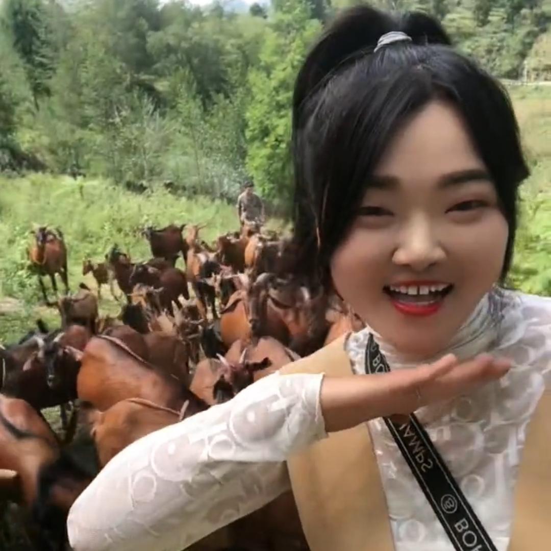 咩咩日记（南江黄羊）烤全羊
