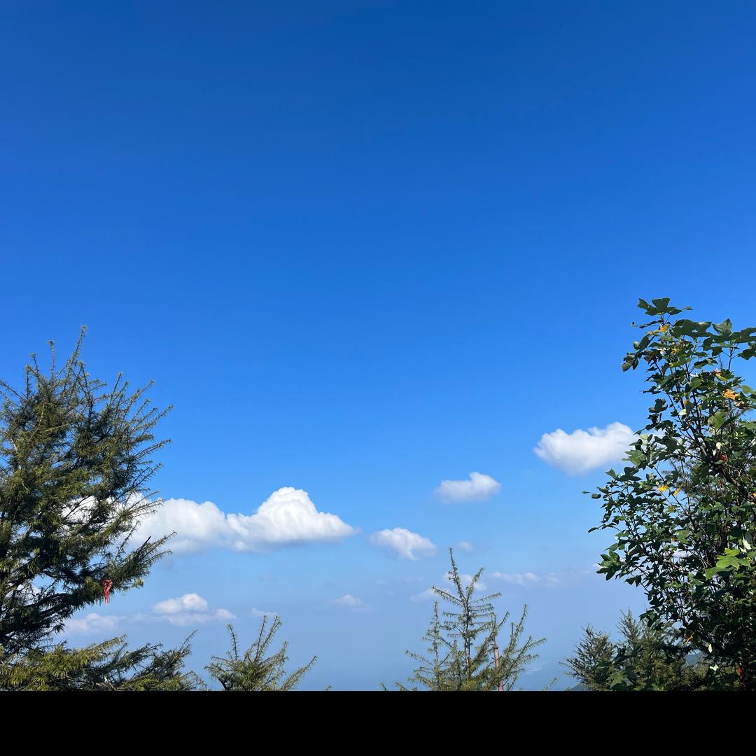 心向🍃阳光☀️