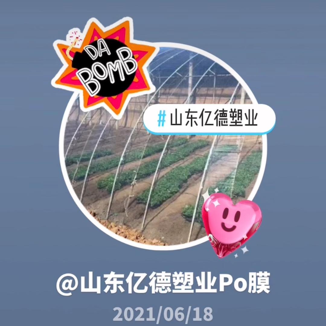 山东亿德塑业Po膜
