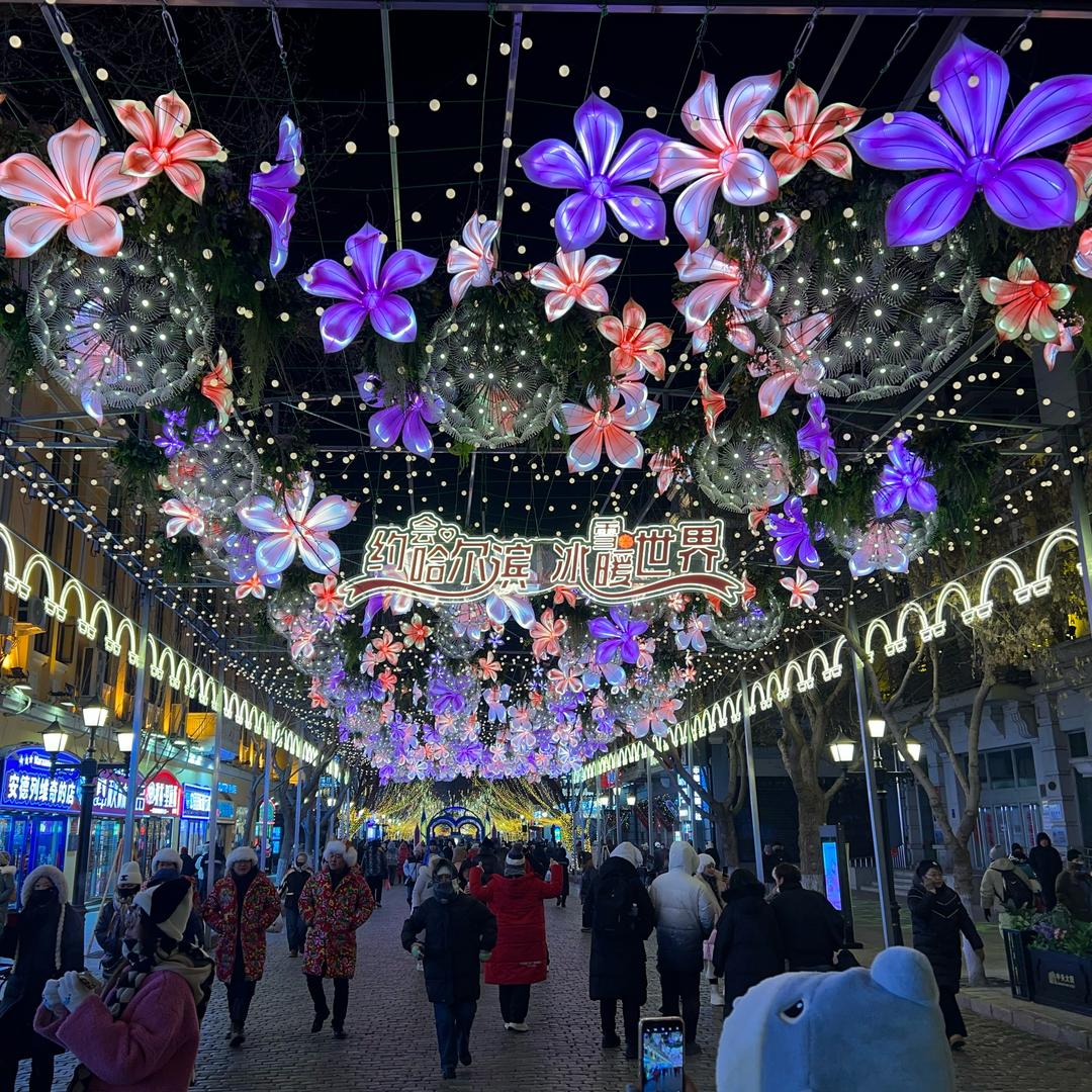 《哈尔滨》大亮