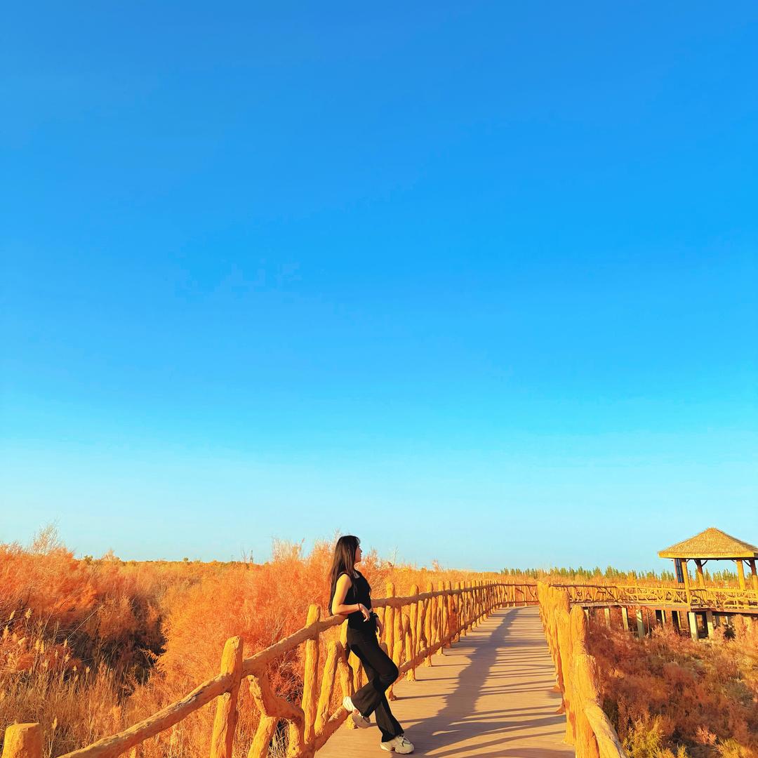 久念成瘾《双双》