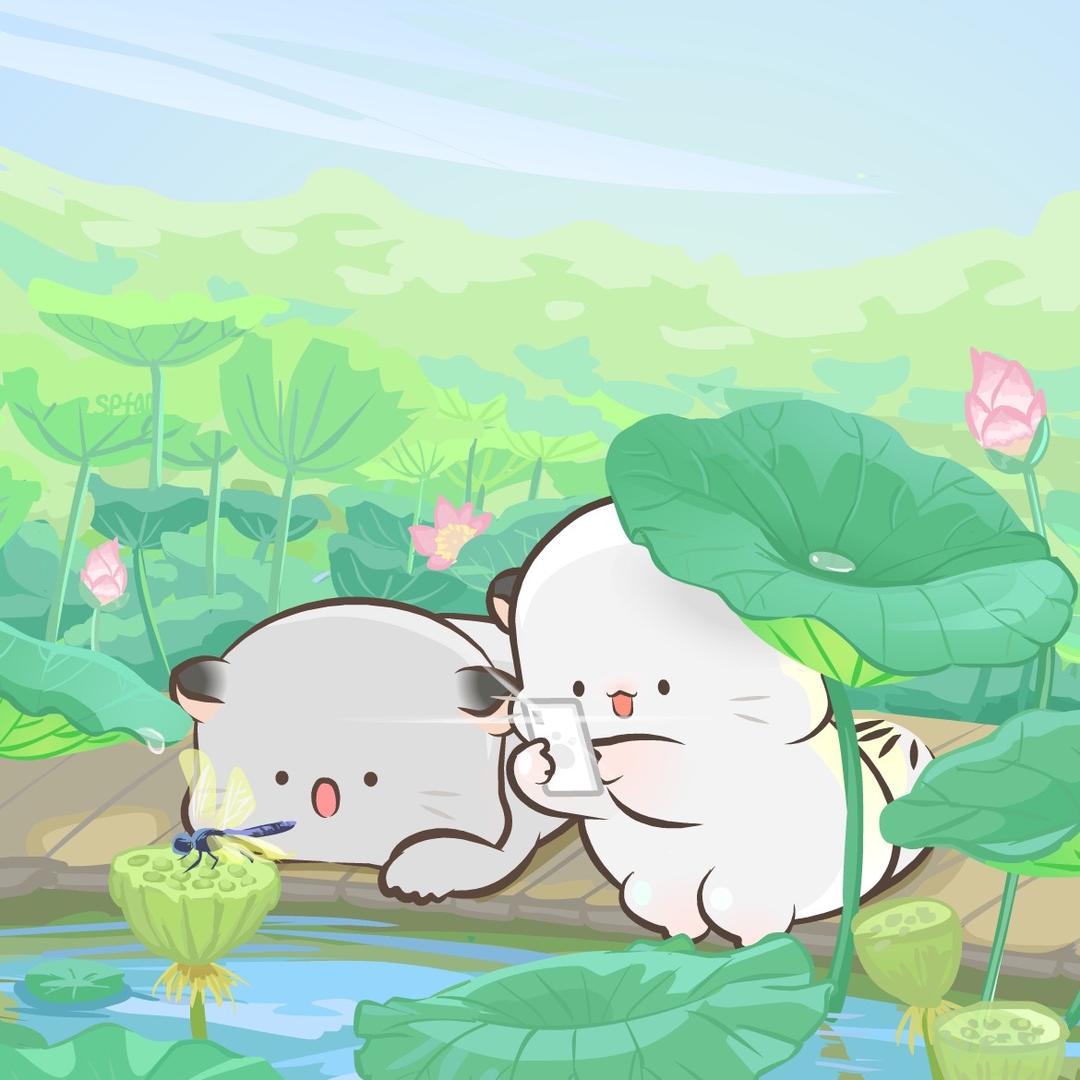 阿珍在长沙房产