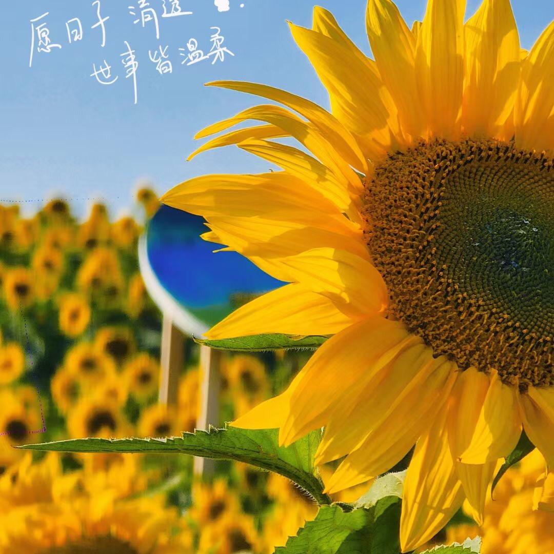 无名的 人