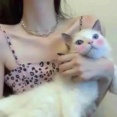 桑桑💗