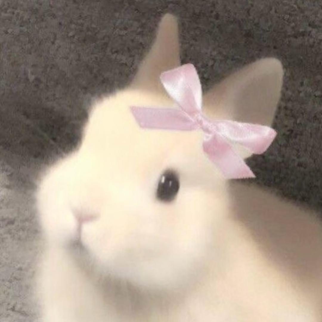 性感辣兔头