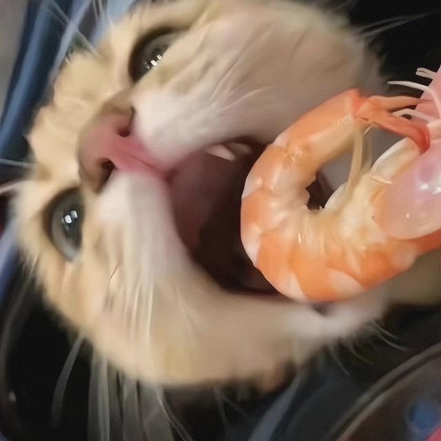 宇z